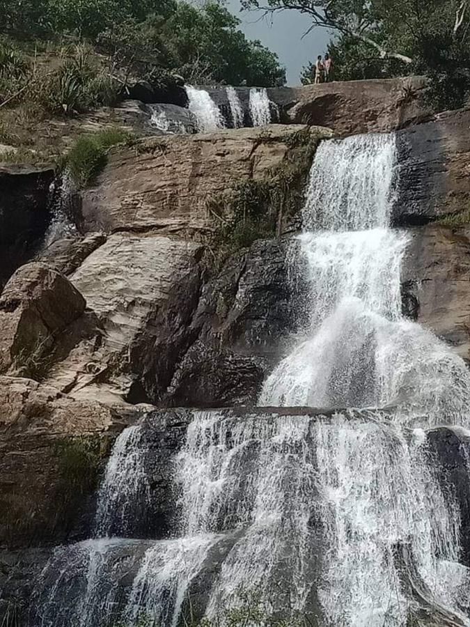 Dinimuthu Rest Inn Wellawaya Εξωτερικό φωτογραφία